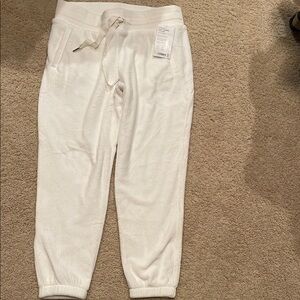 Athleta Double Cozy Karma Jogger, size Large, brand new